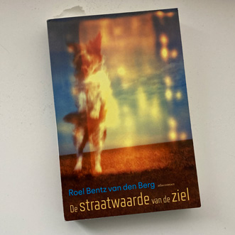 De straatwaarde van de ziel - Roel Bentz van den Berg